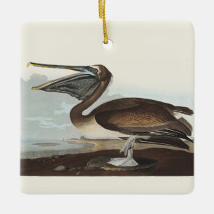 Ornement En Céramique Illustration vintage d'Audubon représentant un Pél