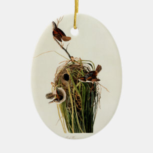 Ornement En Céramique Impression d'oiseau de John James Audubon Troglody