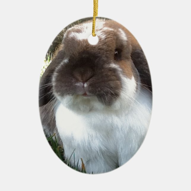 Ornement En Céramique Introduisez du furriness dans votre vie ! (Devant)