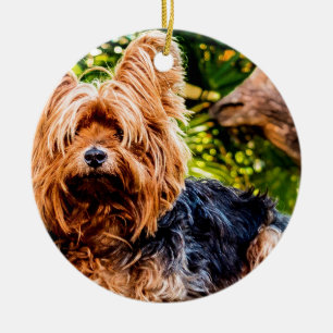 Ornement En Céramique Joli Chien Animal Familier Yorkie Paix Amour Desti