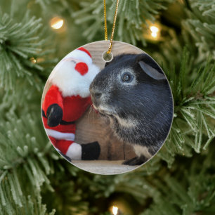 Ornement En Céramique Joli Cochon d'Inde Renard Argenté et Père Noël