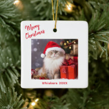 Joyeux Noël Photo de Chat Fêtes