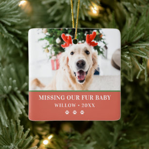 Ornement En Céramique Joyeux Pawlidays Photo de Noël Moderne de Chien