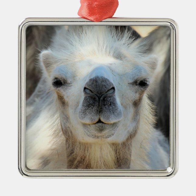 Ornement en céramique K2 (Devant)