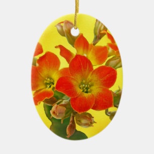 Ornement En Céramique Kalanchoe rouge - Soleil Succulent