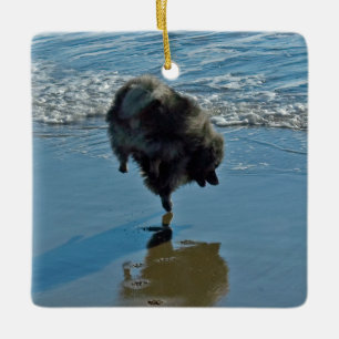 Ornement En Céramique Keeshond Ballet Photographie - Joli chien d'origin