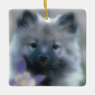 Ornement En Céramique Keeshond et Columbine - Photographie de chien