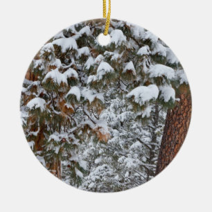 Ornement En Céramique La neige remplit les branches des pins ponderosa