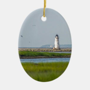 Ornement En Céramique la savane la Géorgie de phare d'île d'ergot de c