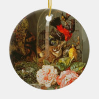 La vie toujours avec l'oiseau de ronflement dans