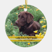 Laboratoire de chocolat dans la correction de