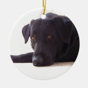 Ornement En Céramique labrador retriever