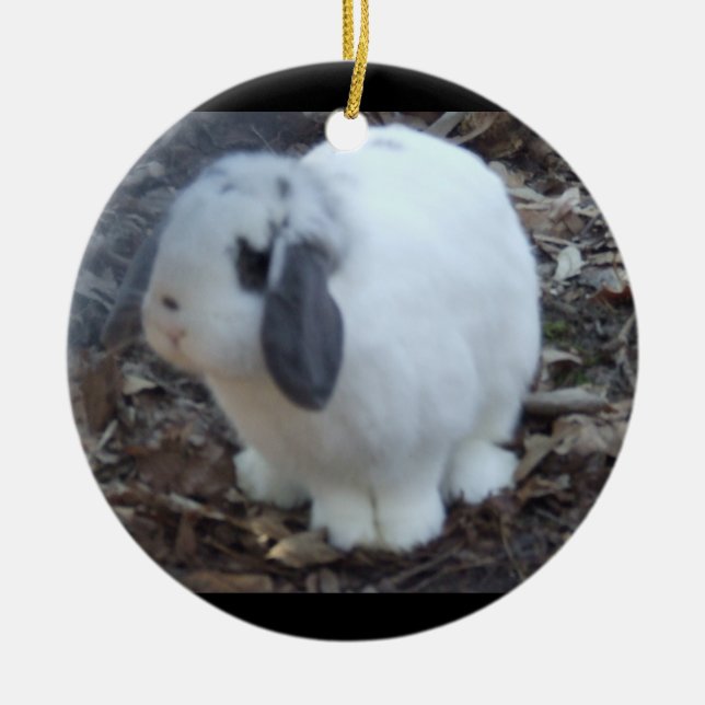 Ornement En Céramique Lapin blanc Joyeuses Pâques (Devant)