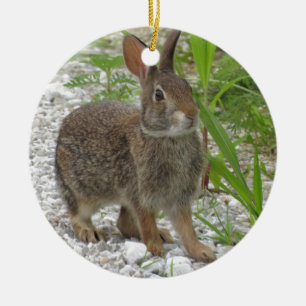 Ornement En Céramique Lapin de lapin