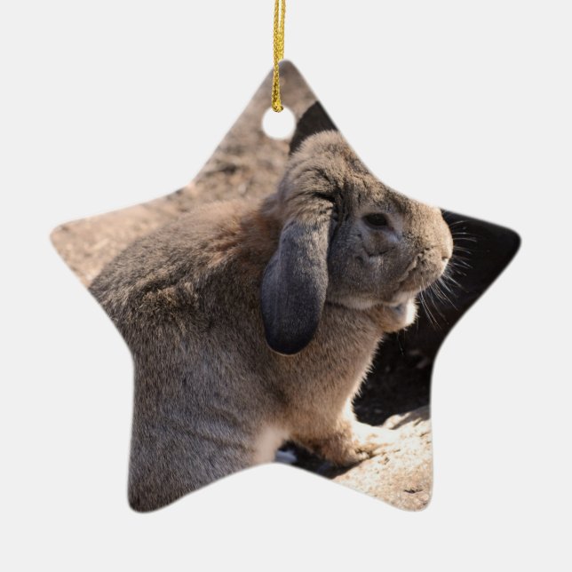 Ornement En Céramique Lapin mignon (Devant)