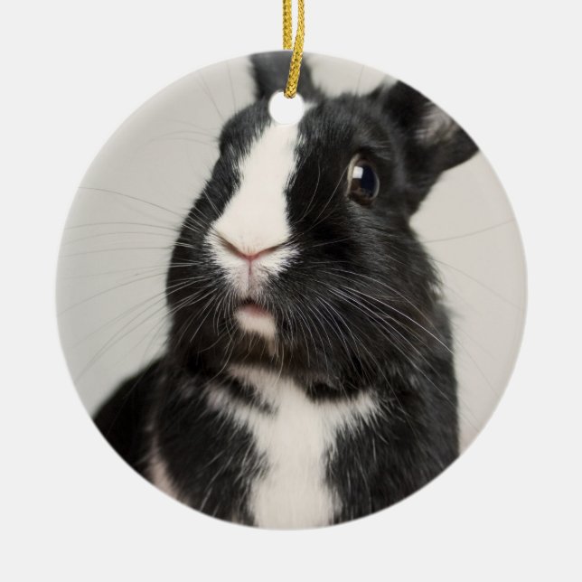 Ornement En Céramique Lapin noir et blanc adorable (Devant)