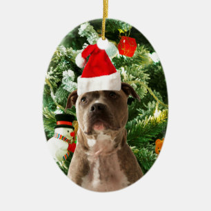 Ornement En Céramique L'arbre de Noël de chien de Pitbull ornemente le