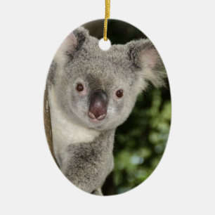 Ornement En Céramique L'Australie koala ours animal mignon