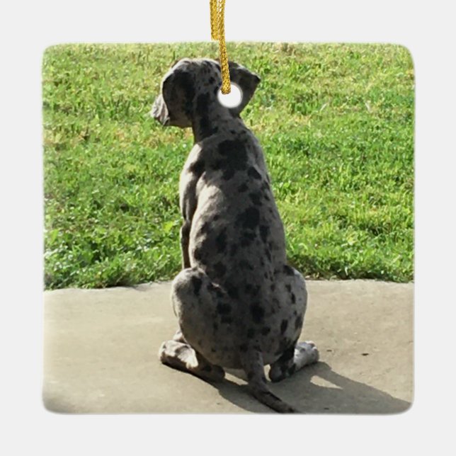 Ornement En Céramique Le 1er X-Mas de Great Dane (Devant)