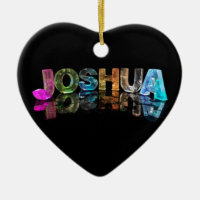 Le Joshua nommé dans 3D s'allume (la photographie)