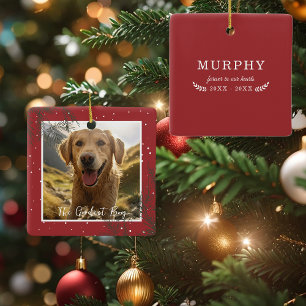 Ornement En Céramique Le meilleur garçon (fille) Photo Pet Memorial