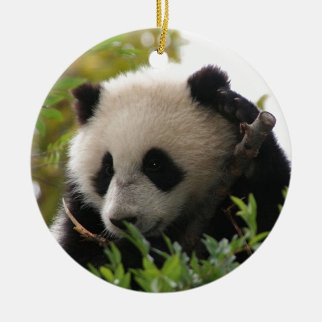 Ornement En Céramique Le Su Lin, petit animal d'ours panda géant au zoo (Devant)