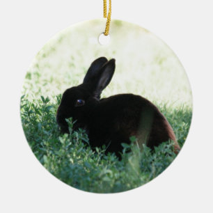 Ornement En Céramique Lil Black Bunny