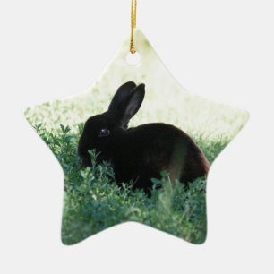 Ornement En Céramique Lil Black Bunny