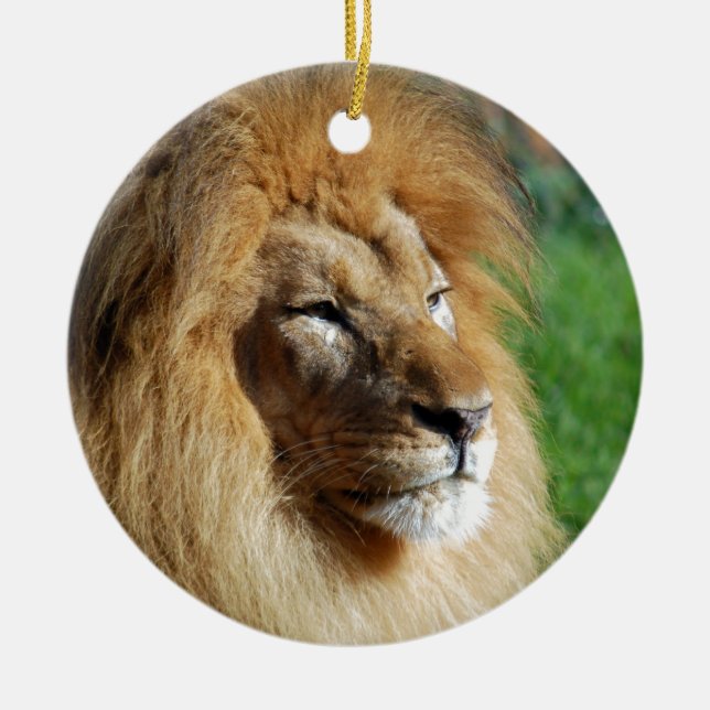 Ornement En Céramique Lion (Devant)