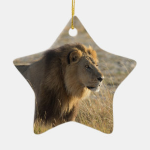 ORNEMENT EN CÉRAMIQUE LION 14 BOTSWANA
