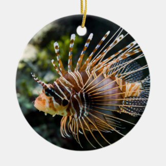 Ornement En Céramique Lionfish d'Antennata Broadbarred Firefish de