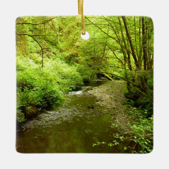 Ornement En Céramique Lost Man Creek I au Redwood National Park (Devant)