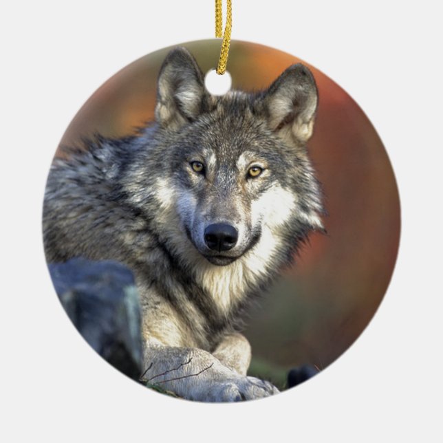 Ornement En Céramique Loup Gris (Devant)