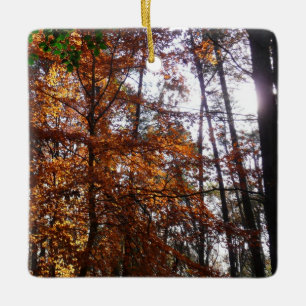 Ornement En Céramique Lumière du soleil à travers un arbre en automne à