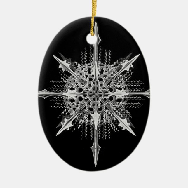 Ornement En Céramique Lychnaspis miranda Ernst Haeckel Fine Art (Devant)