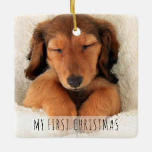 Ornement En Céramique Ma première photo de Chien de Noël à saigner compl