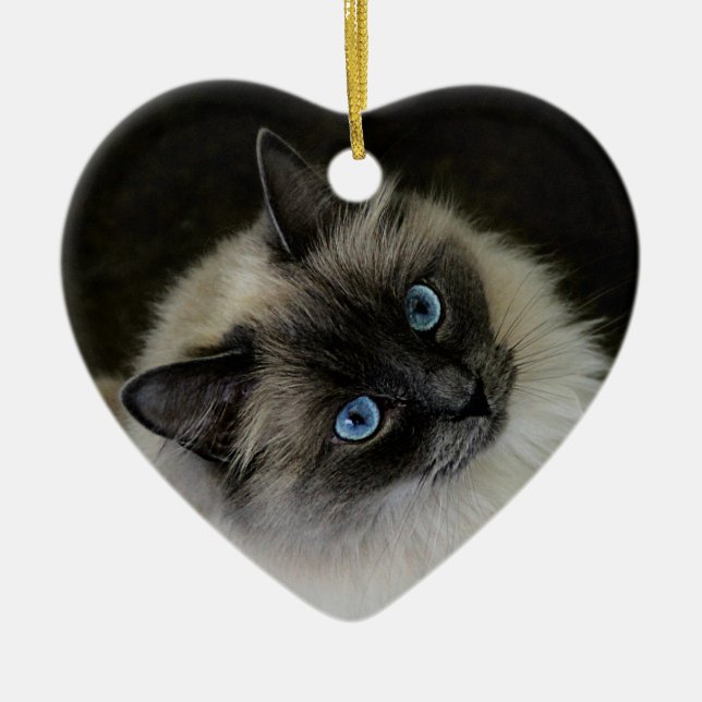 Ornement En Céramique Madame de ` de M (Devant)