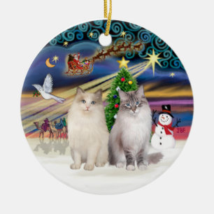 Ornement En Céramique Magie de Noël - Deux chats Ragdoll