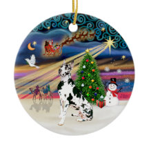 Magie de Noël - Grand Danois Harlequin