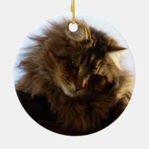 Ornement En Céramique Maine Coon