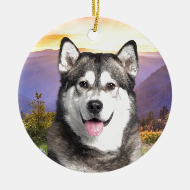 Ornement En Céramique Malamute d'Alaska (Devant)