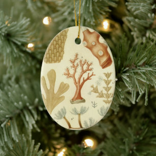 Ornement En Céramique Manuel de sciences Biologie, Animaux de corail vin