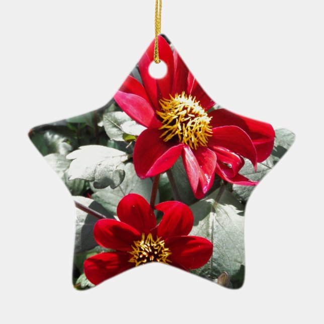 Ornement En Céramique marguerite rose chaud rouge / marguerites fleurs (Devant)