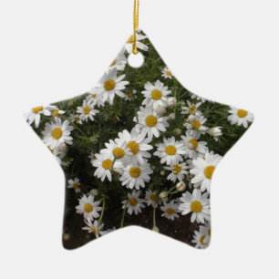 Ornement En Céramique Marguerites de Michaelmas