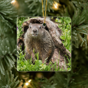 Ornement En Céramique Marmotte dans un tronc creux