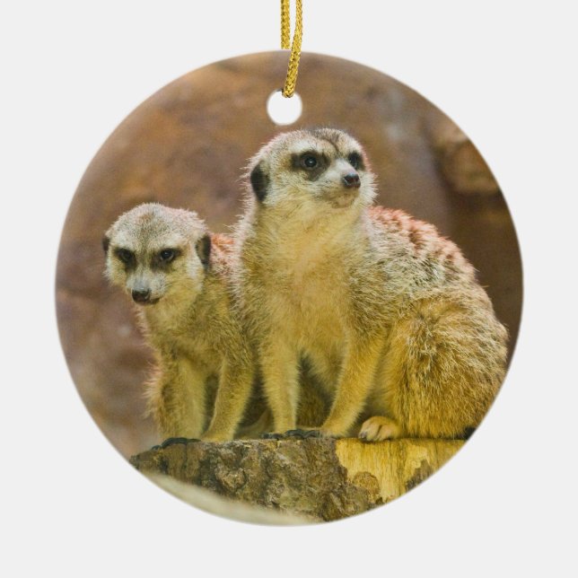 Ornement En Céramique meerkat (Devant)