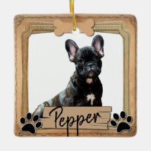 Meilleure photo de chien ami