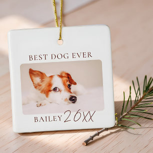 Ornement En Céramique Meilleure photo de chien jamais réalisée, souvenir