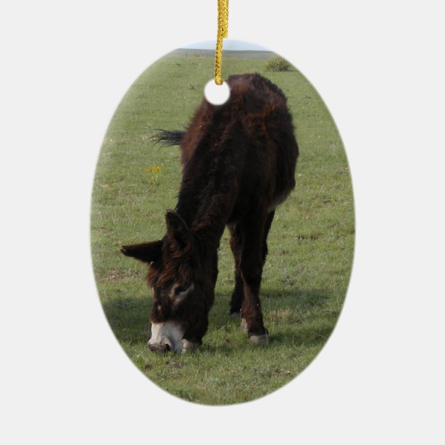 Ornement En Céramique Mémorial de Jenny Lynn (Devant)