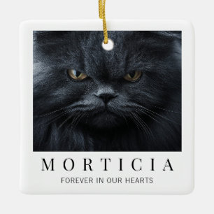 Ornement En Céramique Mémorial de photo de chat moderne minimaliste élég